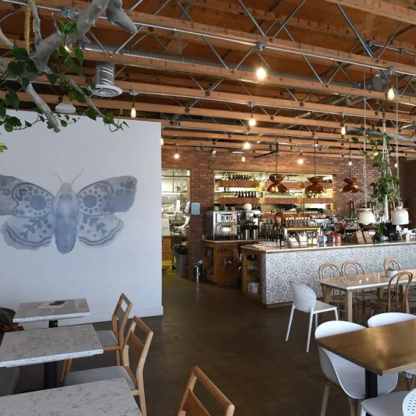 Moth Cafe - $100 Voucher